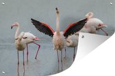 Muurdecoratie Een flamingo die zich uitstrekt - 180x120 cm - Tuinposter - Tuindoek - Buitenposter