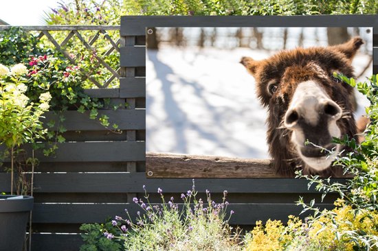 Curious chevalet affiche de jardin en vrac 120x80 cm - Toile de jardin / Toile d'extérieur / Peintures pour l'extérieur (décoration de jardin)