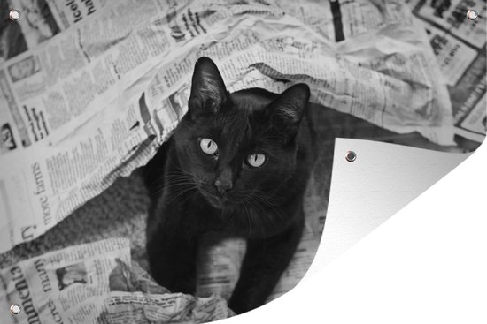 Affiche de jardin Chat noir entre les journaux Toile en vrac 90x60 cm - Toile de jardin / Toile d'extérieur / Peintures pour l'extérieur (décoration de jardin)