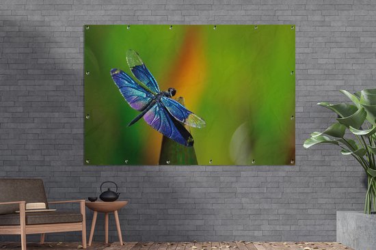 Affiche jardin Libellule - Une libellule bleue 180x120 cm - Toile jardin/Toile extérieur/ Peintures pour l'extérieur (décoration jardin) XXL / Groot format !