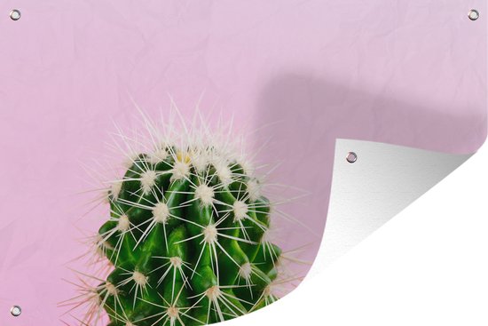 Muurdecoratie Cactus op roze - 180x120 cm - Tuinposter - Tuindoek - Buitenposter