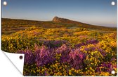 Tuinposters buiten Wilde bloemen in Nationaal park Dartmoor in Engeland - 90x60 cm - Tuindoek - Buitenposter