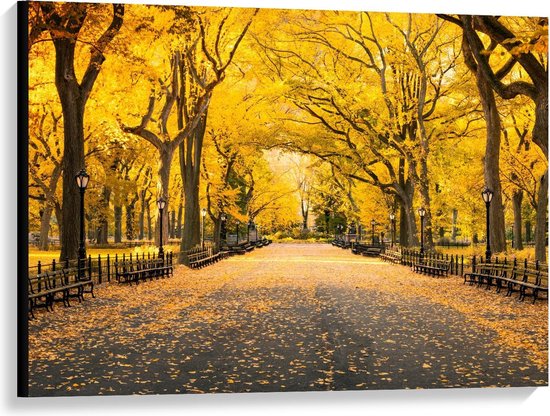 Canvas  - Central Park - New York  - 100x75cm Foto op Canvas Schilderij (Wanddecoratie op Canvas)