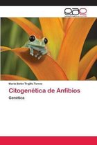 Citogenetica de Anfibios