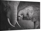 Kleine Olifant bij moeder - Foto op Canvas - 150 x 100 cm