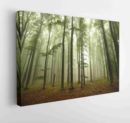 Forêt brumeuse - Toile d' Art moderne - Horizontal - 555590326 - 40*30 Horizontal