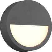 LED Tuinverlichting - Wandlamp Buitenlamp - Trion Pido - 9W - Warm Wit 3000K - Rond - Mat Antraciet - Aluminium