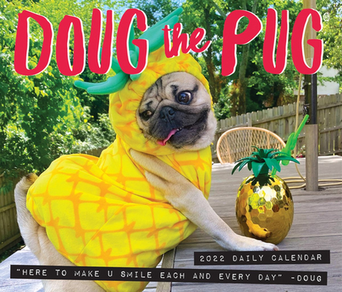 Doug the Pug Kalender 2022 Boxed