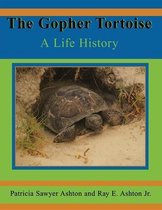 The Gopher Tortoise