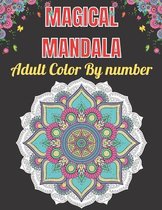 Magical Mandala Adult Color By Number