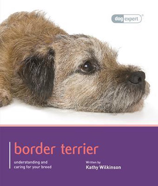 Border Terrier - Dog Expert