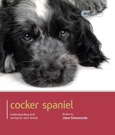 Cocker Spaniel