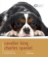 Cavalier King Charles Spaniel - Dog Expert