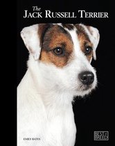 Jack Russell Terrier