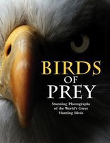 Animals- Birds of Prey