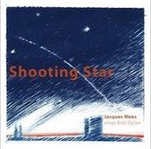 Jacques Mees  sings Bob Dylan - Shooting star