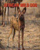 African Wild Dog