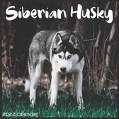 Siberian Husky Calendar 2022