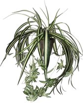 Chlorophytum graslelie hangplant groen H45 x D45 cm kunstplant in pot - Kunstplanten/nepplanten hangplanten