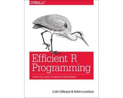 Omslag van Efficient R Programming