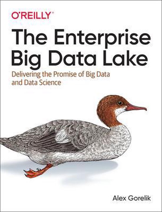 Enterprise Big Data Lake - cover
