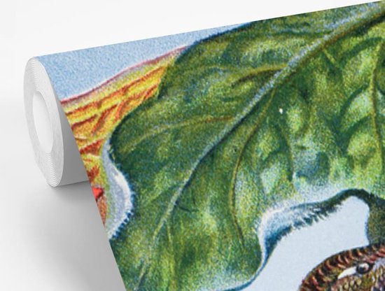 Papier peint photo peint photo vinyle - Colibri ancien imprimé oiseau largeur 175 cm x hauteur 240 cm - Tirage photo sur papier peint (disponible en 7 tailles)