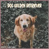 Golden Retriever Dog Calendar 2022