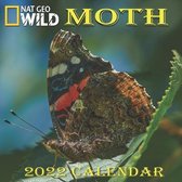 Moth Calendar 2022