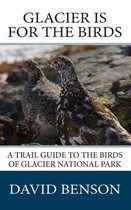 Glacier is for the Birds