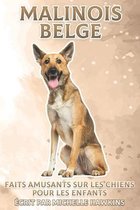Malinois Belge