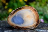 Aangeslepen Chalcedoon uit Turkije - 258 gram