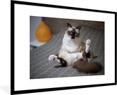 Cadre photo Chat dans un lit noir avec passe-partout blanc 80x120