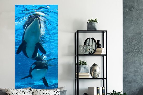 Affiche Deux orques sous l'eau - 80x160 cm