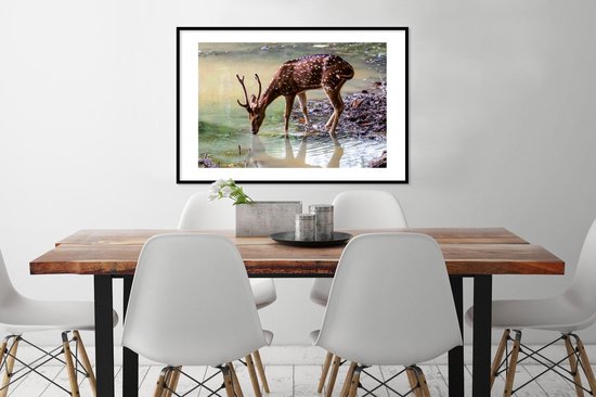 Photo dans le cadre - Boire le cerf d'un ruisseau de forêt cadre photo noir avec passe-partout blanc 60x90 90x60 cm - Affiche dans le cadre (Décoration murale salon / chambre)