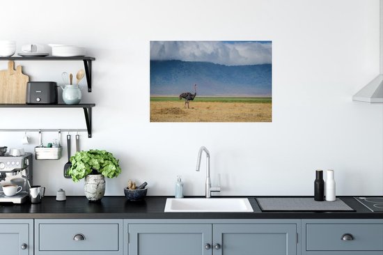 Autruche au milieu de la savanne du cratère du Ngorongoro en Tanzanie Poster 90x60 cm - Tirage photo sur Poster (décoration murale salon / chambre)
