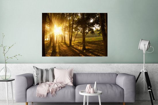 Le soleil d'automne se lève sur une forêt sombre Poster 120x80 cm - Tirage photo sur Poster (décoration murale salon / chambre)
