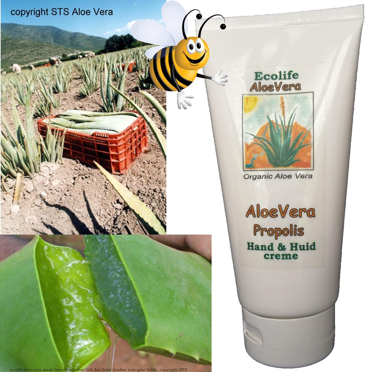 Aloe Vera Propolis Creme - 80% pure aloë - met propolis en kruidenextracten - 185g - Bijzonder effectief - Bij droge huid, doorliggen, beschadiging - bescherming.