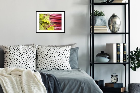 Tiges de rhubarbe avec feuilles vert clair dans un cadre noir avec passe-partout blanc, au-dessus d'un lit.
