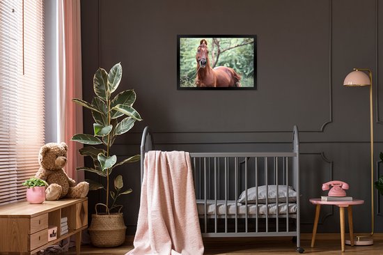 Photo encadrée - Un cheval Kathiawari dans le cadre photo nature boisé noir 60x40 cm - Affiche encadrée (Décoration murale salon / chambre)