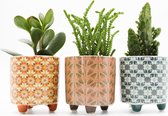 Ikhebeencactus | Interieur set Desert Dax | 3x luxe sierpot 7cm | 3x bijpassende cactus/vetplanten mix