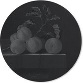 MuismatAdriaen Coorte - Stilleven met vijf abrikozen - schilderij van Adriaen Coorte in zwart/wit. Muismat rond - 20x20 cm - Muismat met foto
