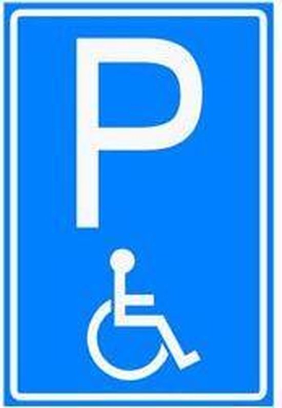 Verkeersbord Invalidenparkeerplaats (E06) - aluminium - DOR | bol.com