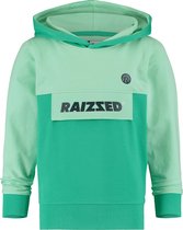 Raizzed jongens hoodie Norwich Pastel Leaf