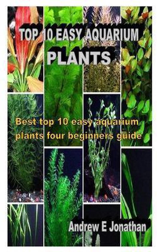Top 10 Easy Aquarium Plants, Andrew E Jonathan 9798694851350 Boeken