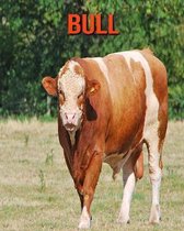 Bull