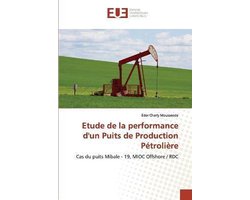 Etude de la performance d'un Puits de Production Pétrolière