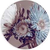 Forex Wandcirkel - Wit/Blauwe Bloemen op Beige Achtergrond - 90x90cm Foto op Wandcirkel (met ophangsysteem)