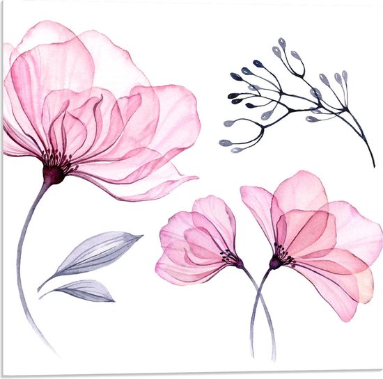 Acrylglas - Bloemen Tekeningen op Witte Achtergrond - 50x50cm Foto op Acrylglas (Met Ophangsysteem)
