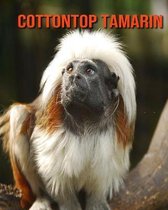 Cottontop Tamarin