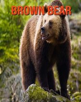 Brown bear